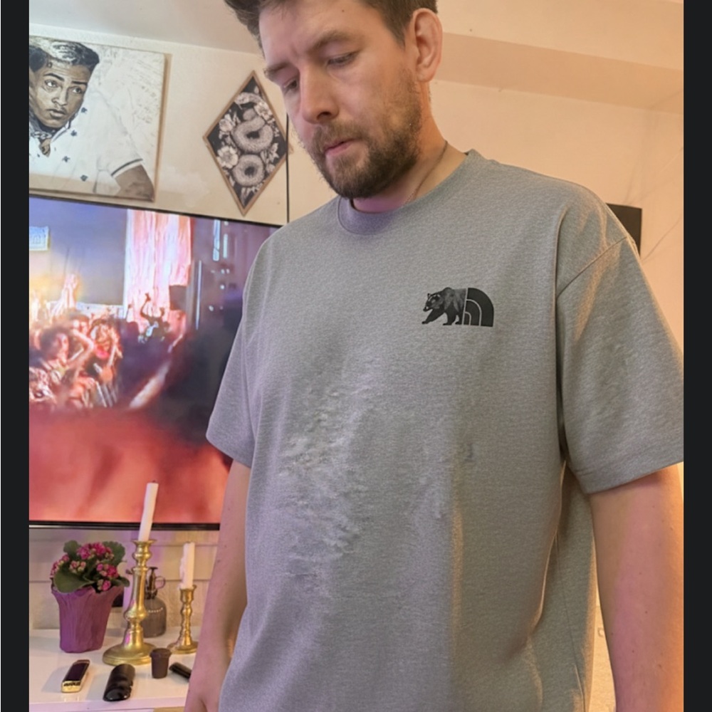 Men's Gray Graphic Logo T-Shirt TNF